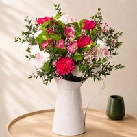 Strawberry Swirl - Orchid Phalaenopsis review and price