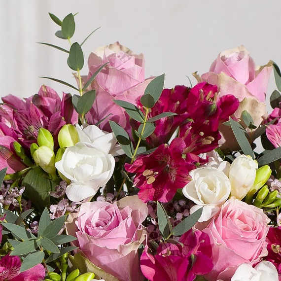 Luxury Roses and Freesias - Orchid Phalaenopsis review and price