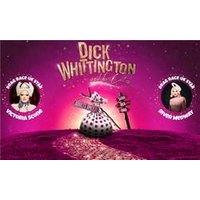 Dick Whittington and His Cat - - Orchid Phalaenopsis review and price