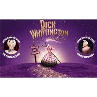 Dick Whittington and His Cat - - Orchid Phalaenopsis review and price