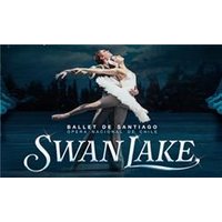 Ballet de Santiago Swan Lake - Orchid Phalaenopsis review and price