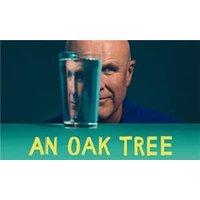An Oak Tree - Orchid Phalaenopsis review and price