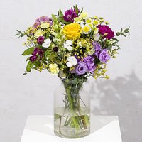 Hand Tied Monthly Flower Gift - Orchid Phalaenopsis review and price