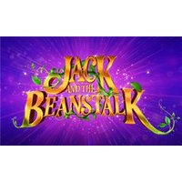 Jack and The Beanstalk - Orchid Phalaenopsis review and price