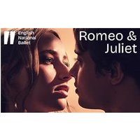 English National Ballet: Romeo - Orchid Phalaenopsis review and price