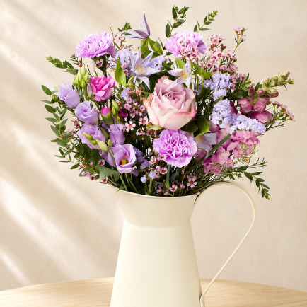 Blushing Meadow - Orchid Phalaenopsis review and price